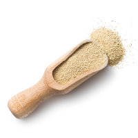https://preprod.backporte.com/wp-content/uploads/2017/05/ingredients_transparent_02.png