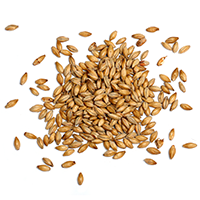 https://preprod.backporte.com/wp-content/uploads/2017/05/ingredients_transparent_03.png